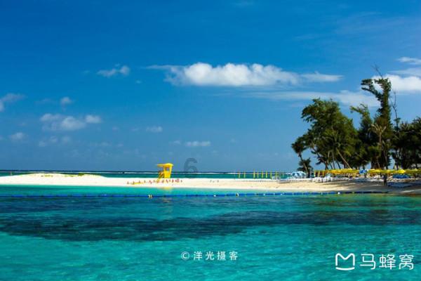 夏日时尚的爱丽